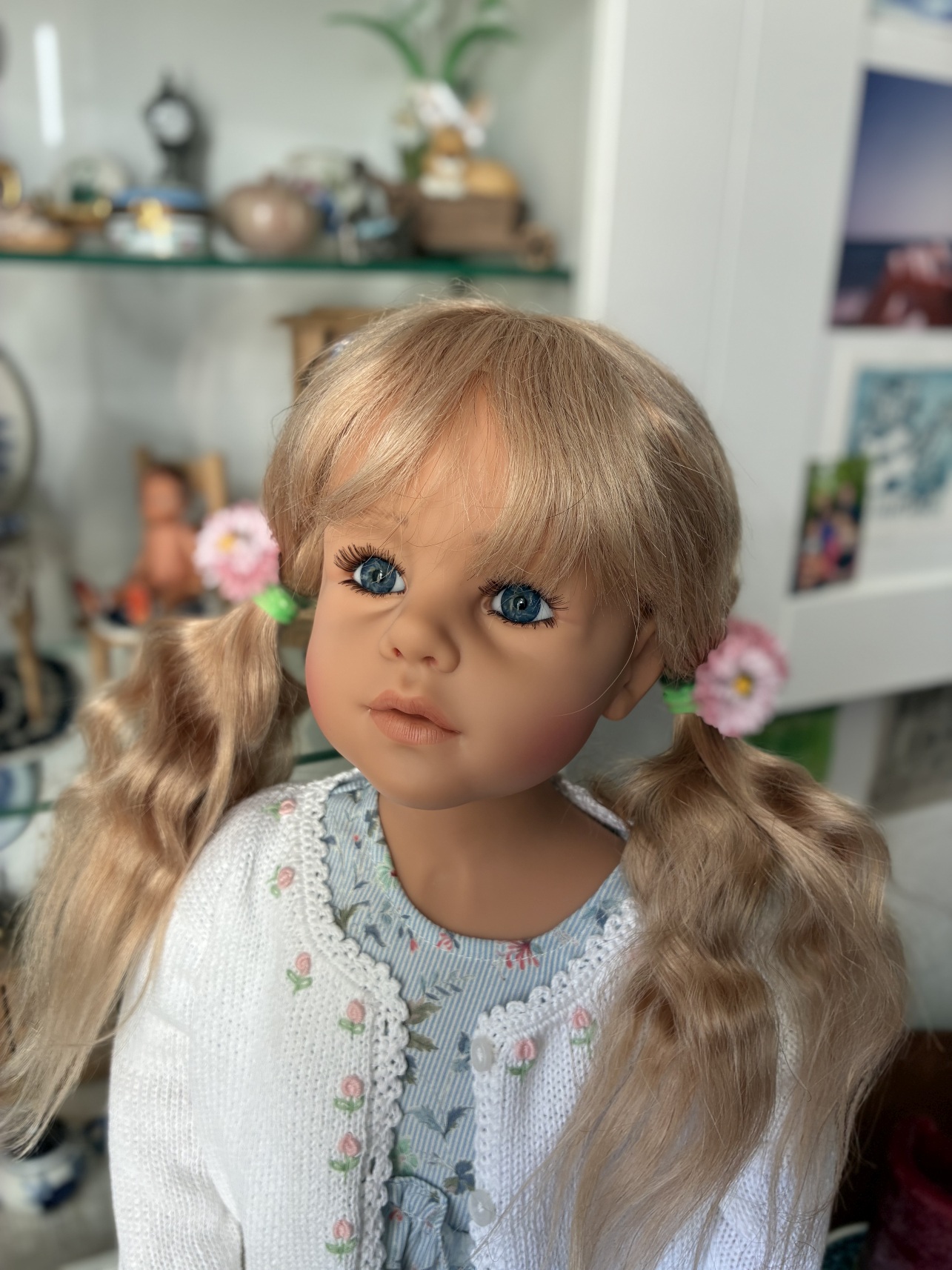 Moni Frieske Schildkrot