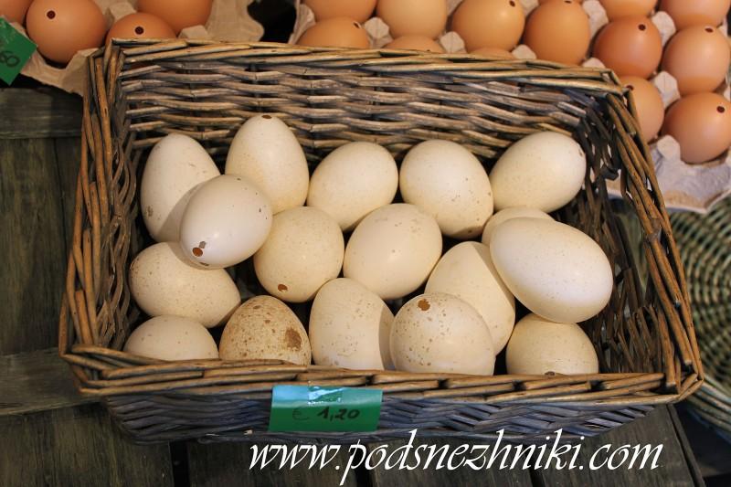 Коллекционные и авторские куклы Коллекционные и авторские куклы