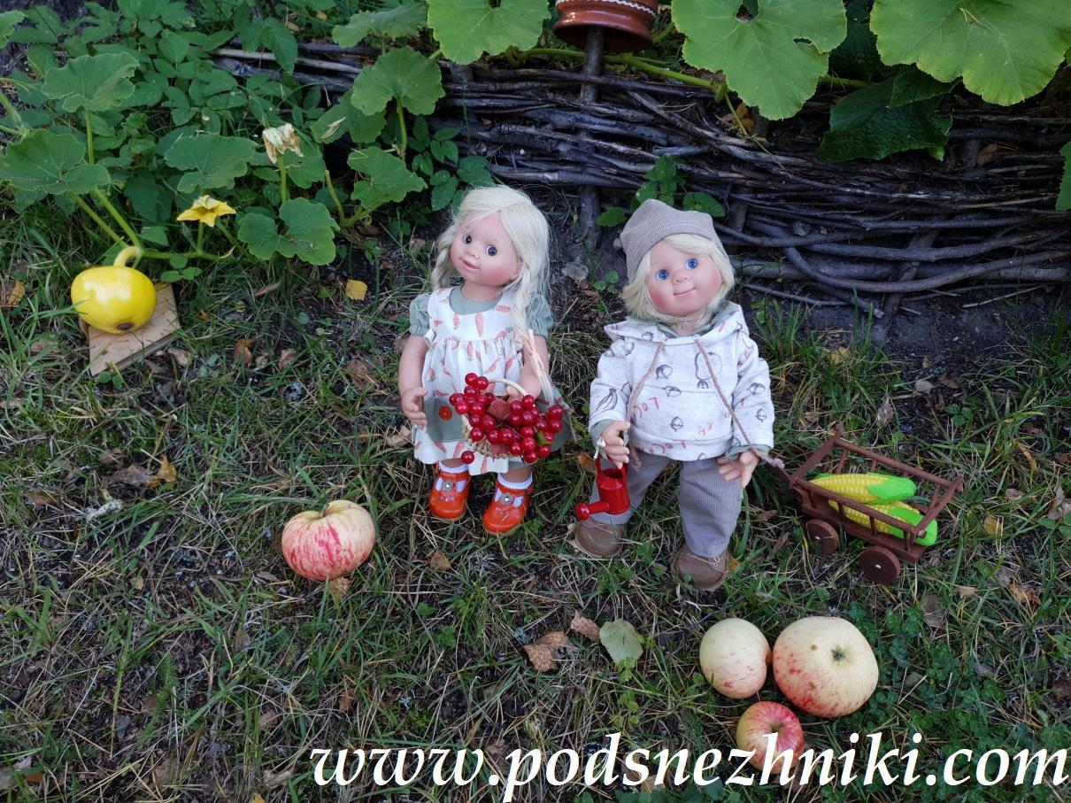 Frieda Muller-Wichtel Schildkrot Frieda Muller-Wichtel Schildkrot