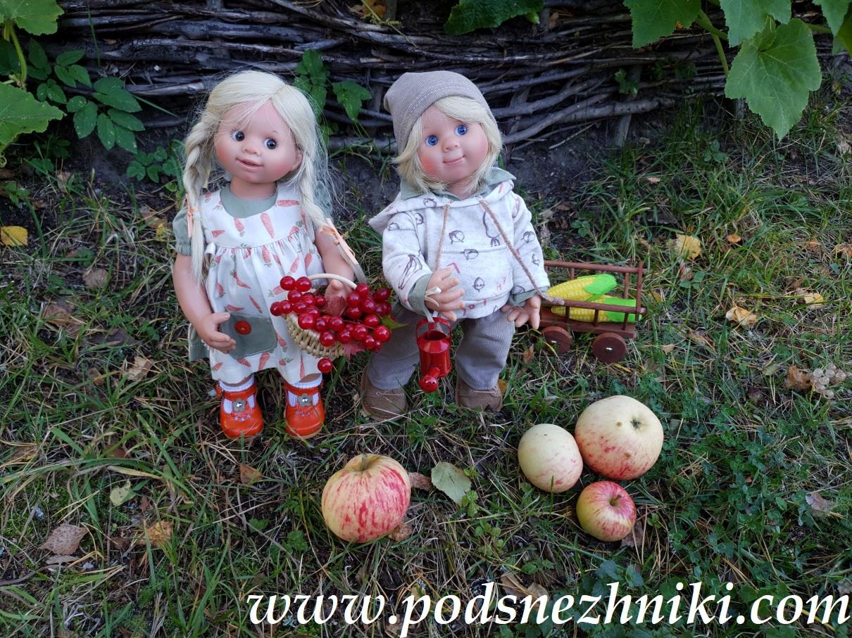 Frieda Muller-Wichtel Schildkrot Frieda Muller-Wichtel Schildkrot