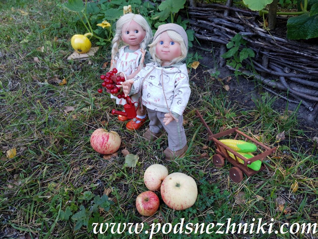 Frieda Muller-Wichtel Schildkrot Frieda Muller-Wichtel Schildkrot