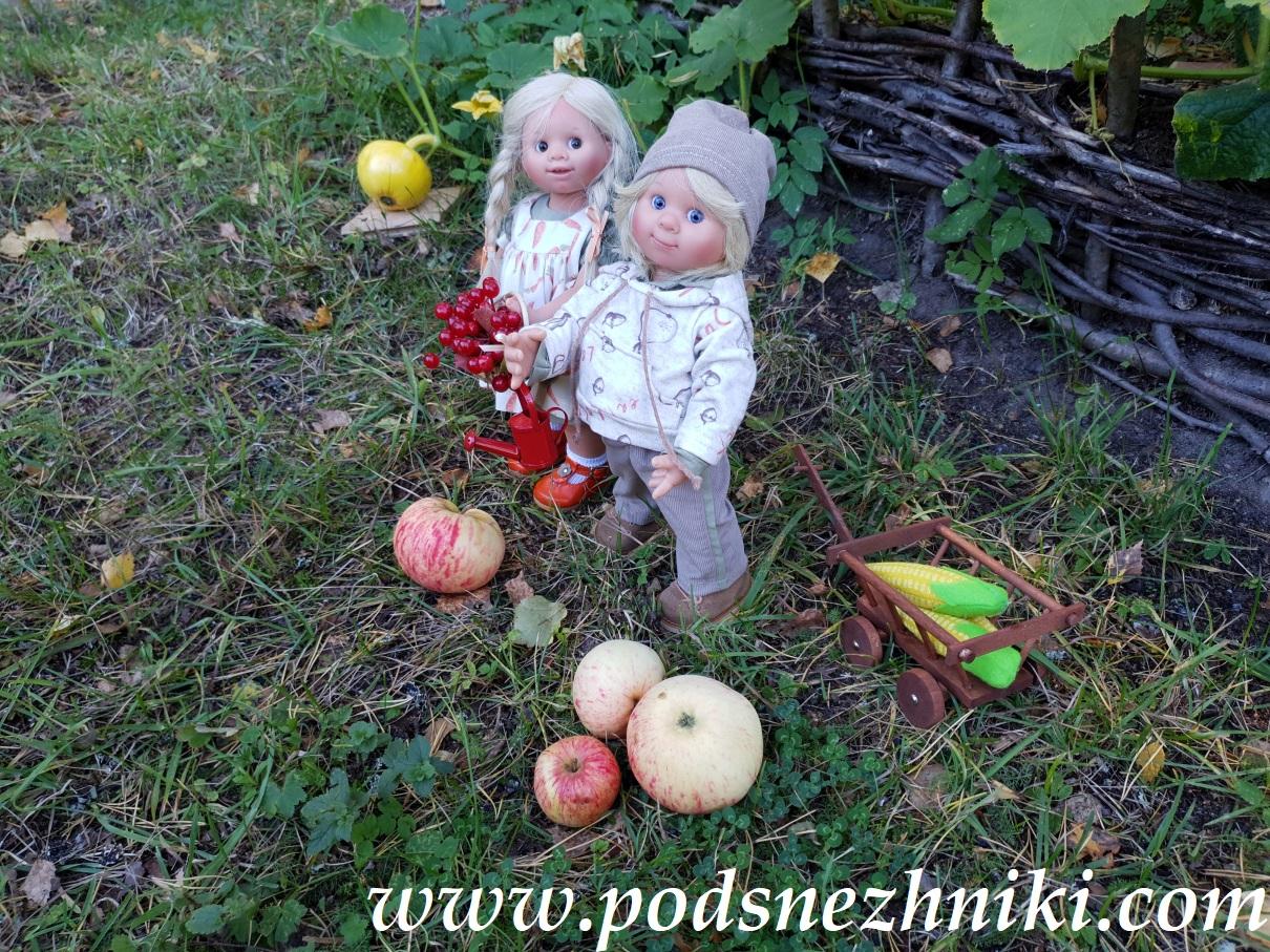 Frieda Muller-Wichtel Schildkrot Frieda Muller-Wichtel Schildkrot