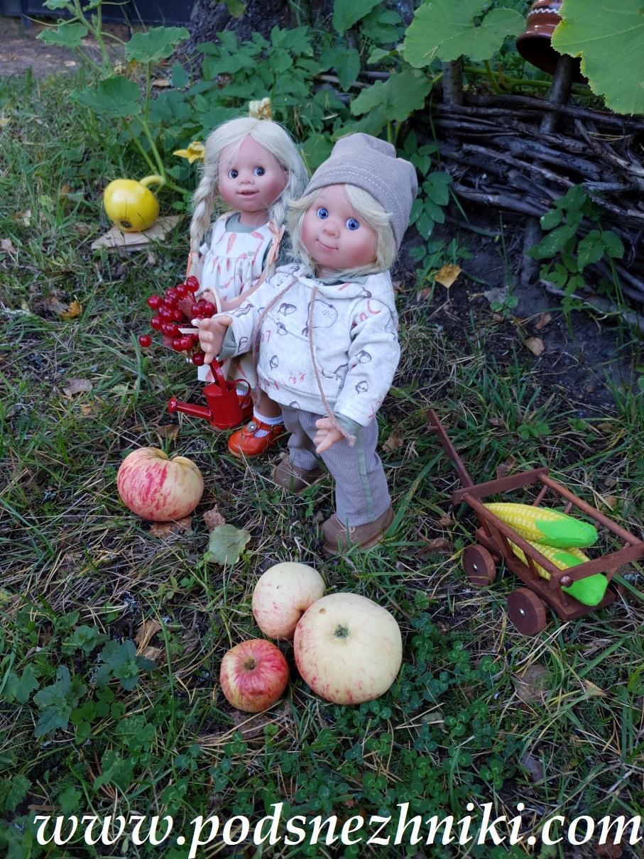 Frieda Muller-Wichtel Schildkrot Frieda Muller-Wichtel Schildkrot