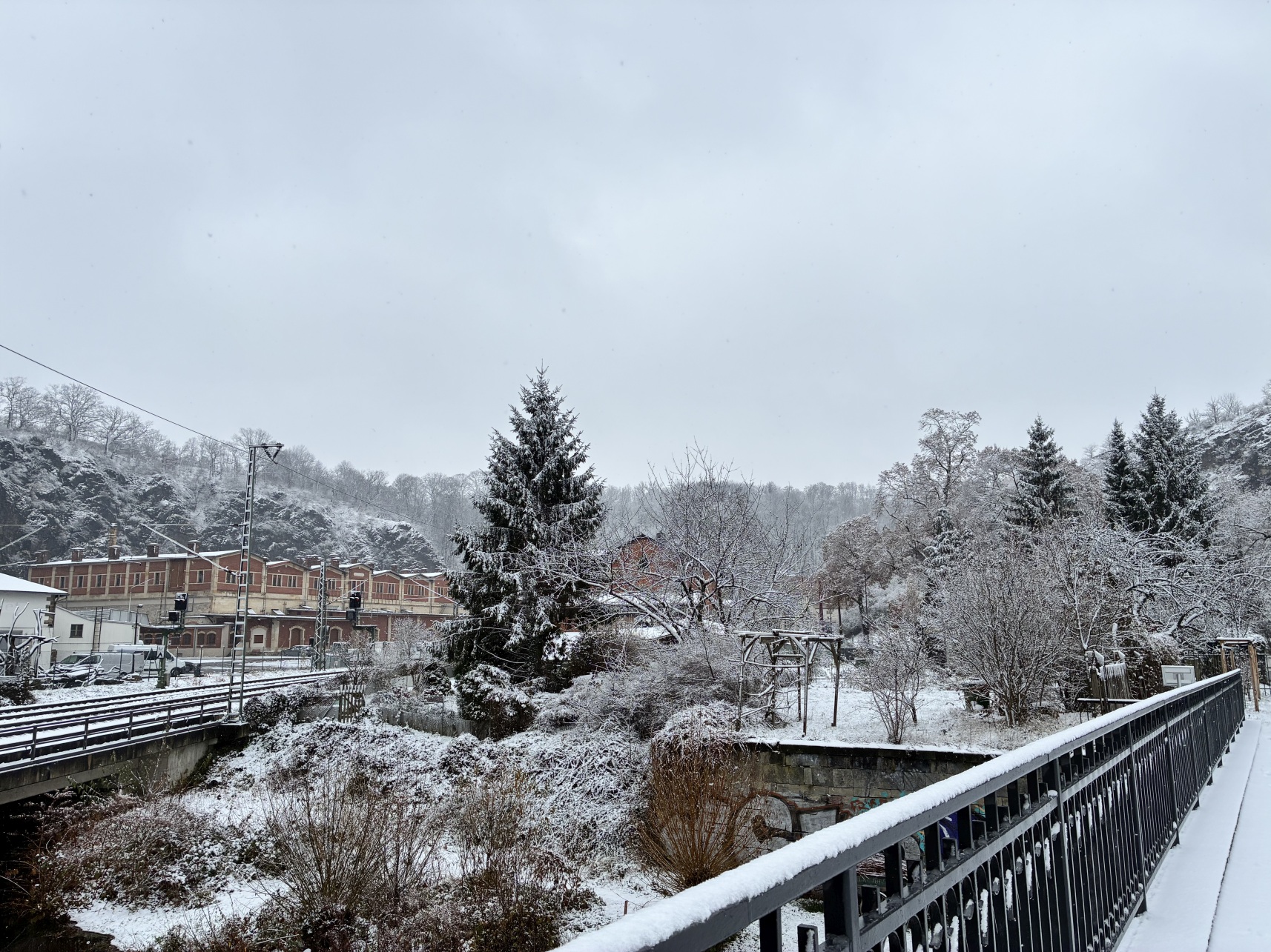 вихтели Шильдкрет спешиал Wichtel Rosemarie Muller Schildkrot Special