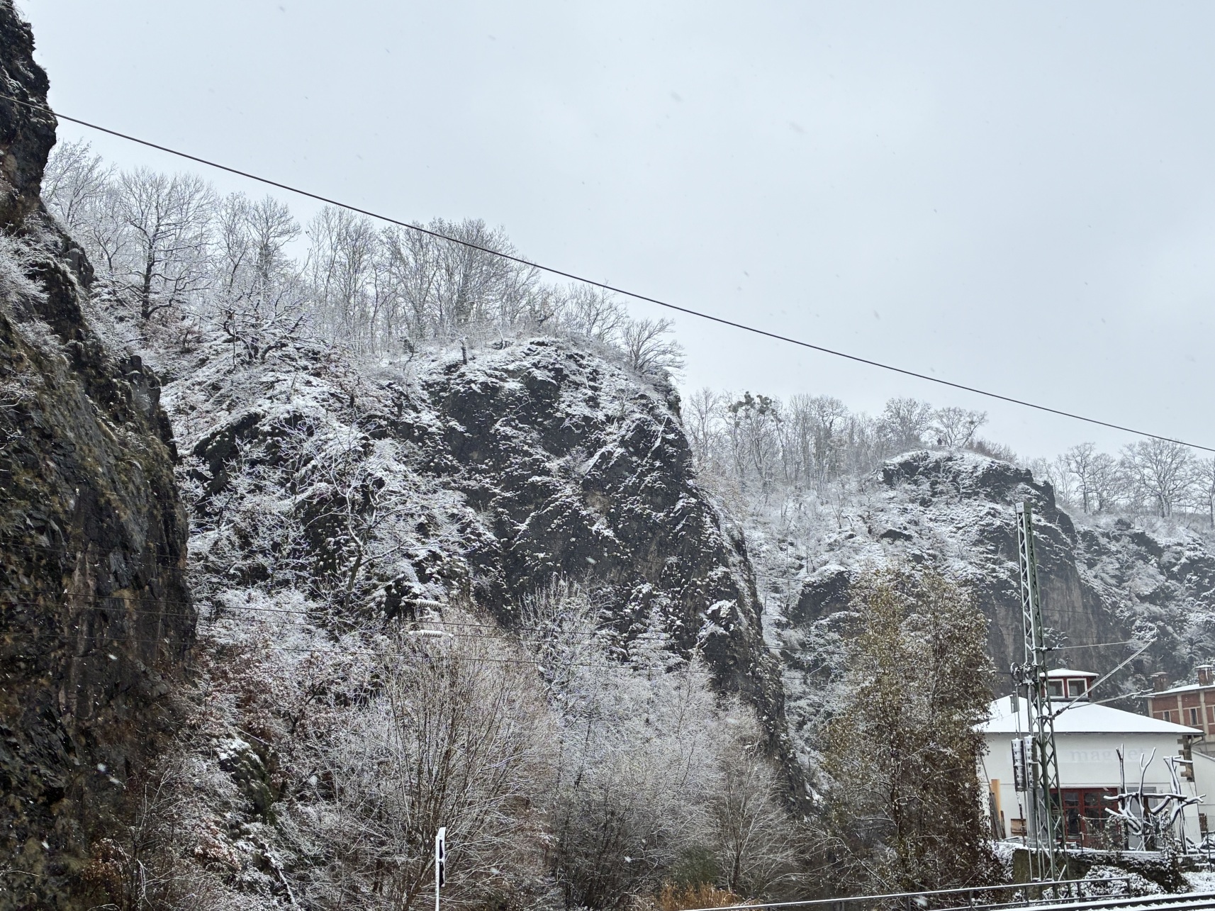 вихтели Шильдкрет спешиал Wichtel Rosemarie Muller Schildkrot Special