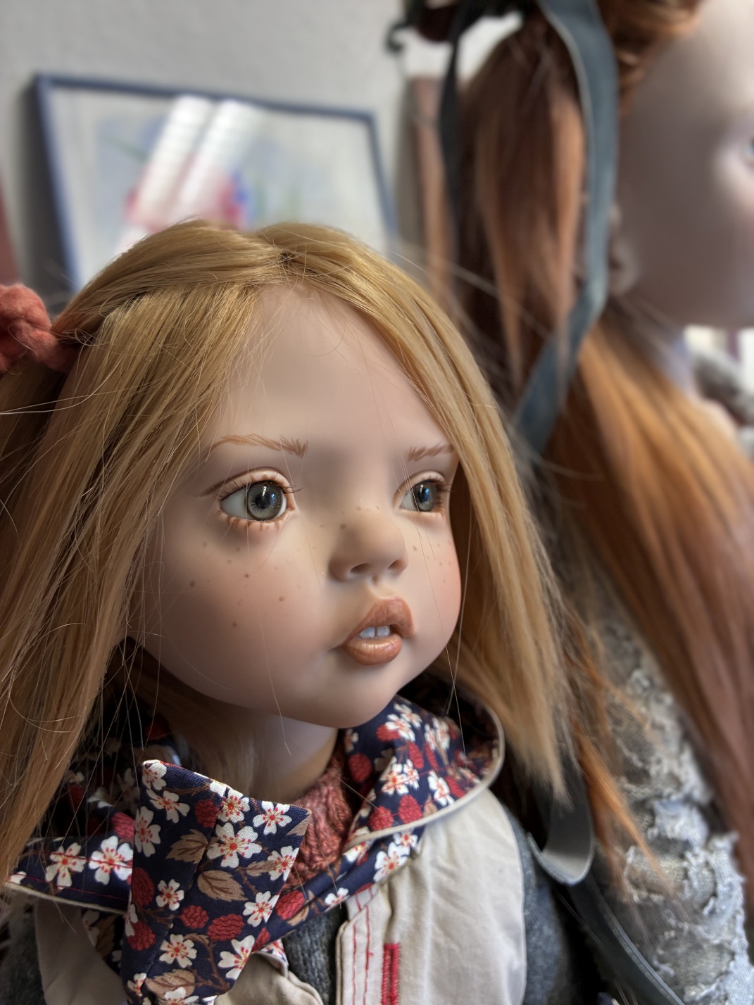 Zwergnase podsnezhniki Цвергназе Подснежники 