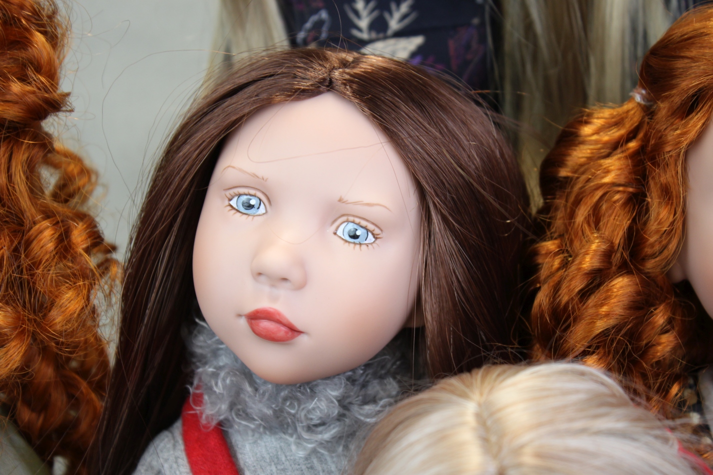 Zwergnase podsnezhniki Цвергназе Подснежники Zwergnase podsnezhniki Цвергназе Подснежники