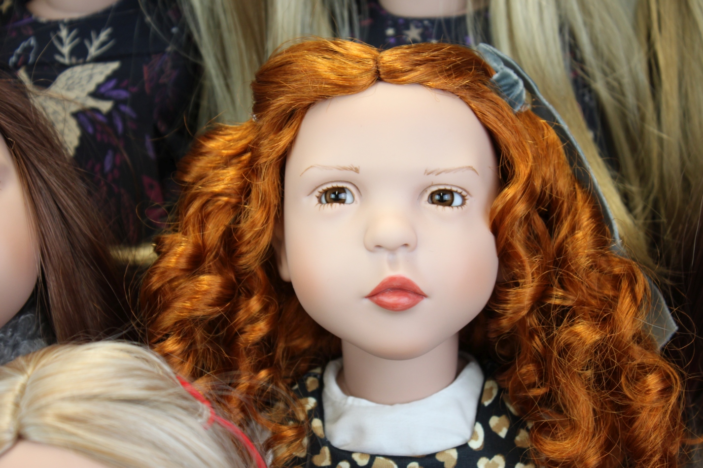 Zwergnase podsnezhniki Цвергназе Подснежники Zwergnase podsnezhniki Цвергназе Подснежники