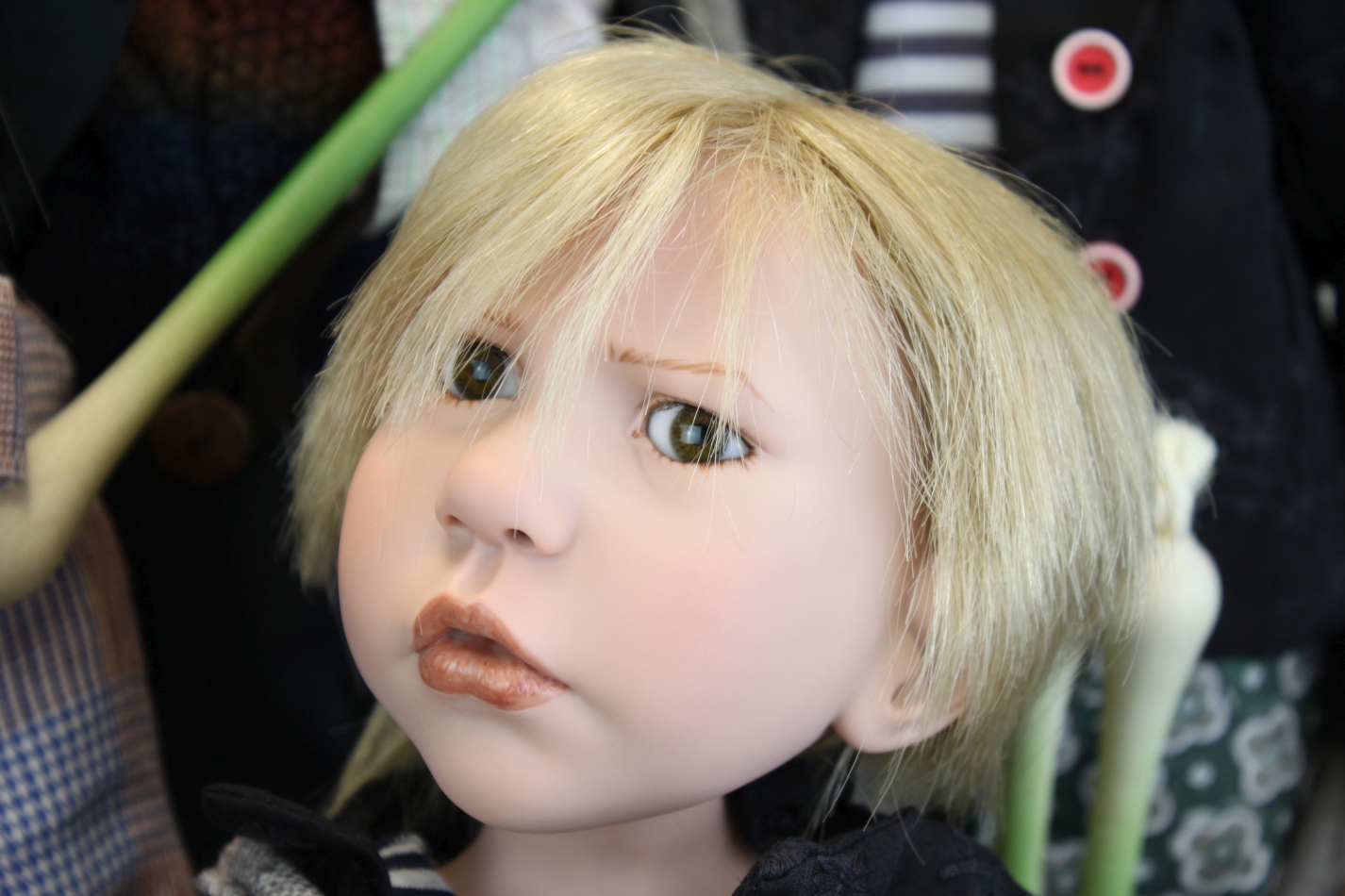 Zwergnase podsnezhniki Цвергназе Подснежники Zwergnase podsnezhniki Цвергназе Подснежники