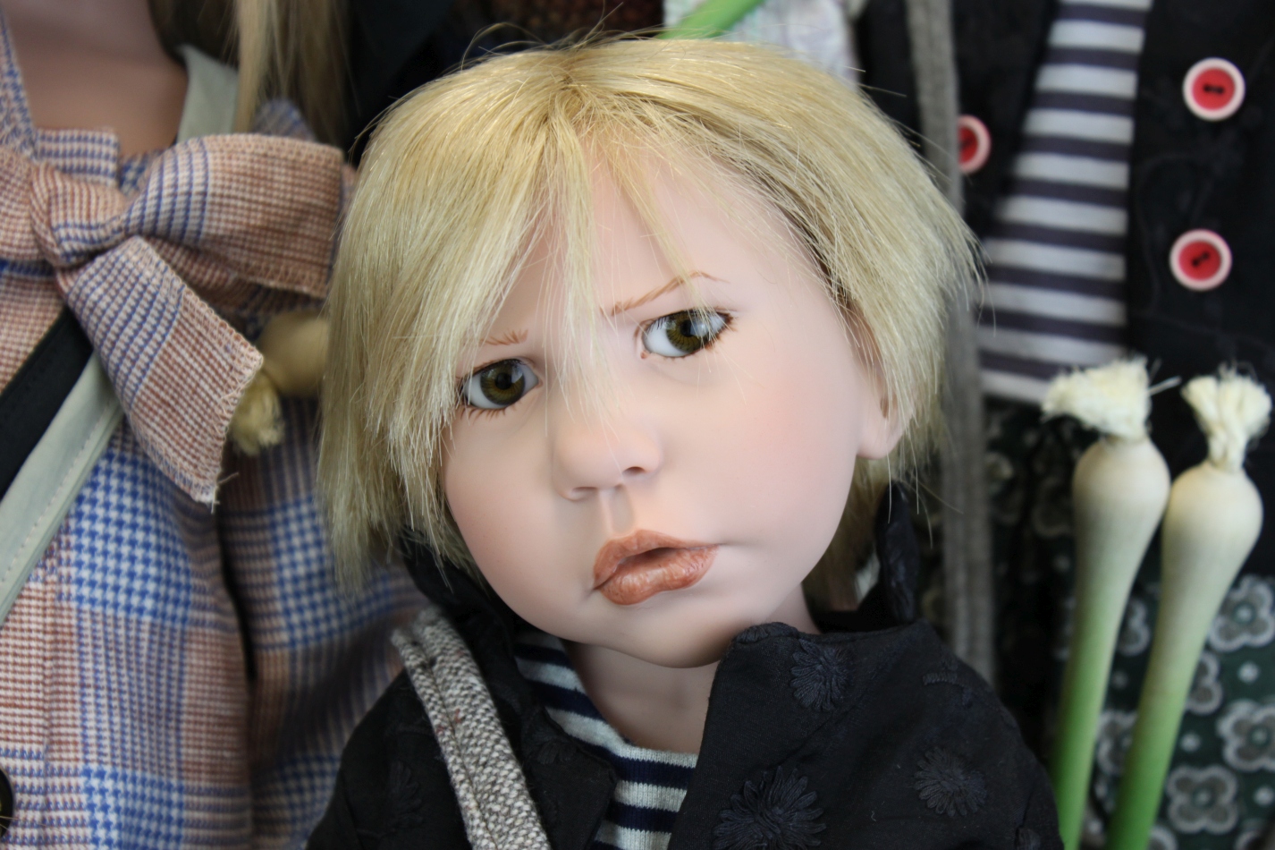 Zwergnase podsnezhniki Цвергназе Подснежники Zwergnase podsnezhniki Цвергназе Подснежники