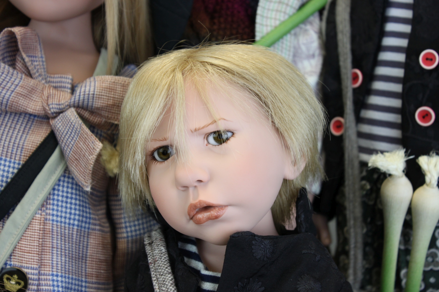 Zwergnase podsnezhniki Цвергназе Подснежники Zwergnase podsnezhniki Цвергназе Подснежники