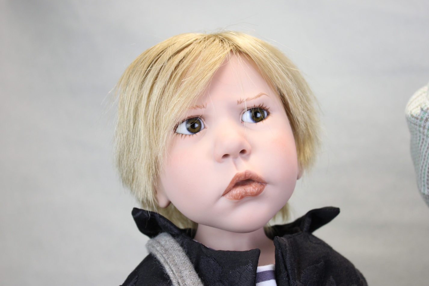 Zwergnase podsnezhniki Цвергназе Подснежники Zwergnase podsnezhniki Цвергназе Подснежники