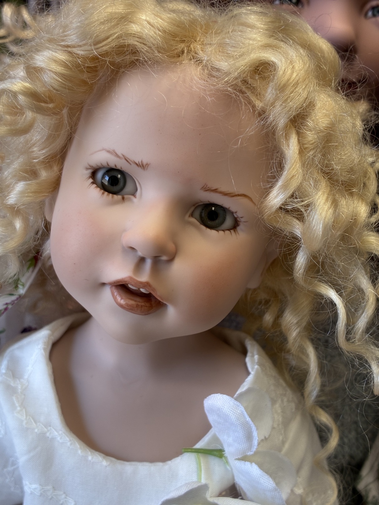 Zwergnase podsnezhniki Цвергназе Подснежники 