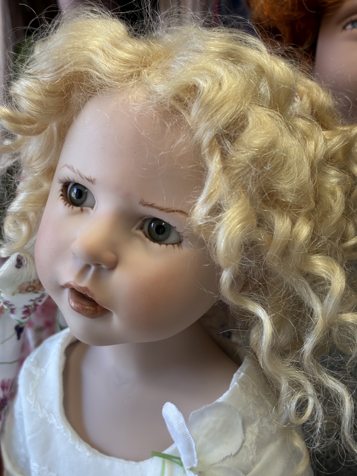 Zwergnase podsnezhniki Цвергназе Подснежники 