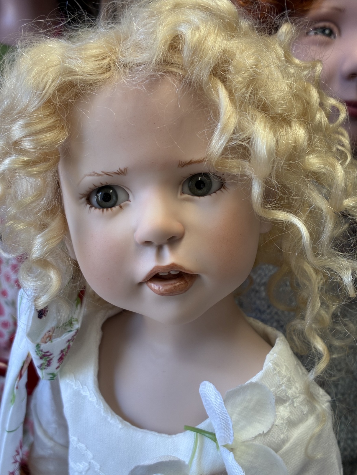 Zwergnase podsnezhniki Цвергназе Подснежники 