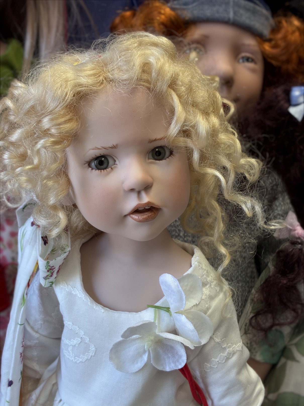 Zwergnase podsnezhniki Цвергназе Подснежники 