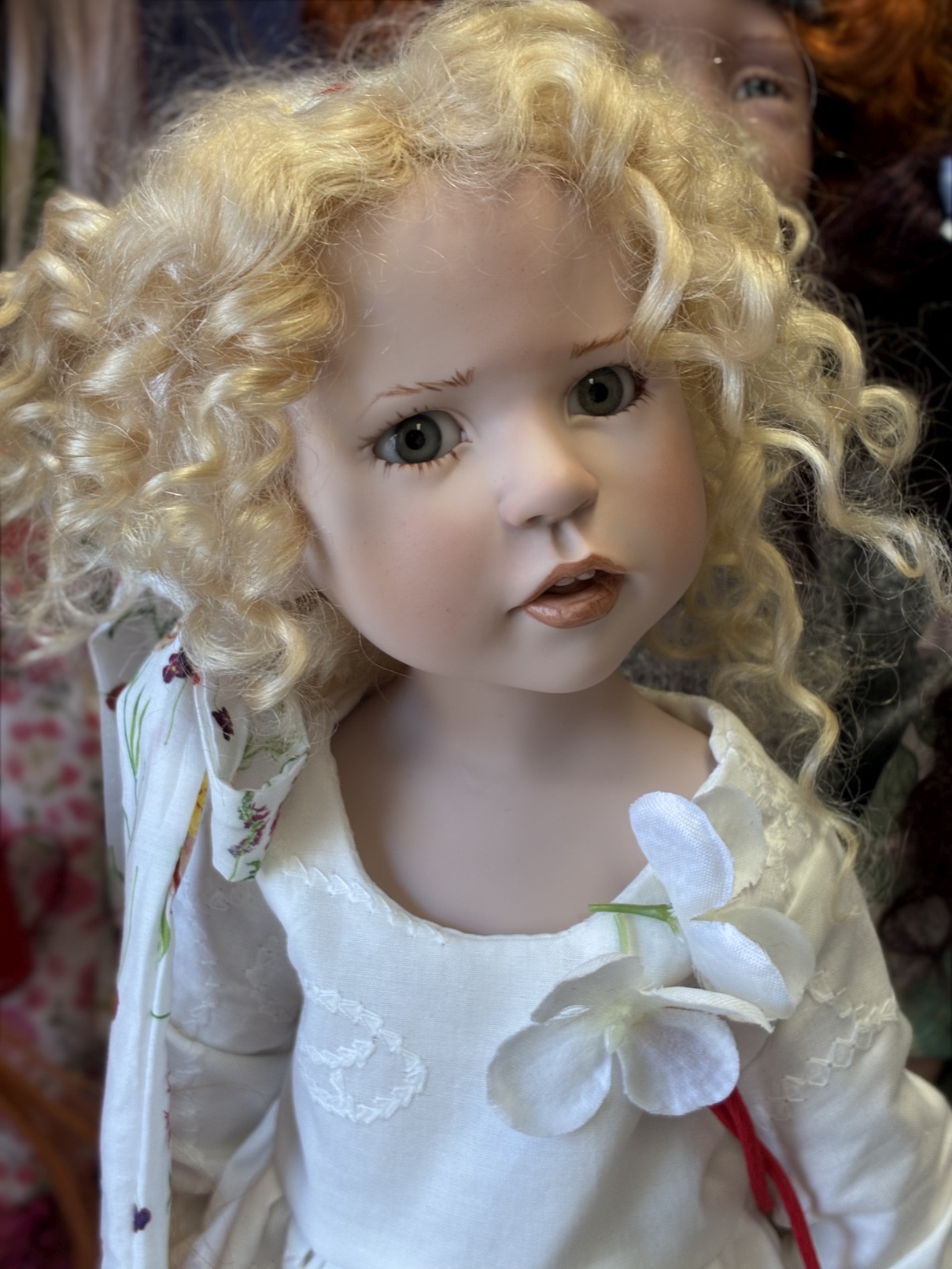 Zwergnase podsnezhniki Цвергназе Подснежники 