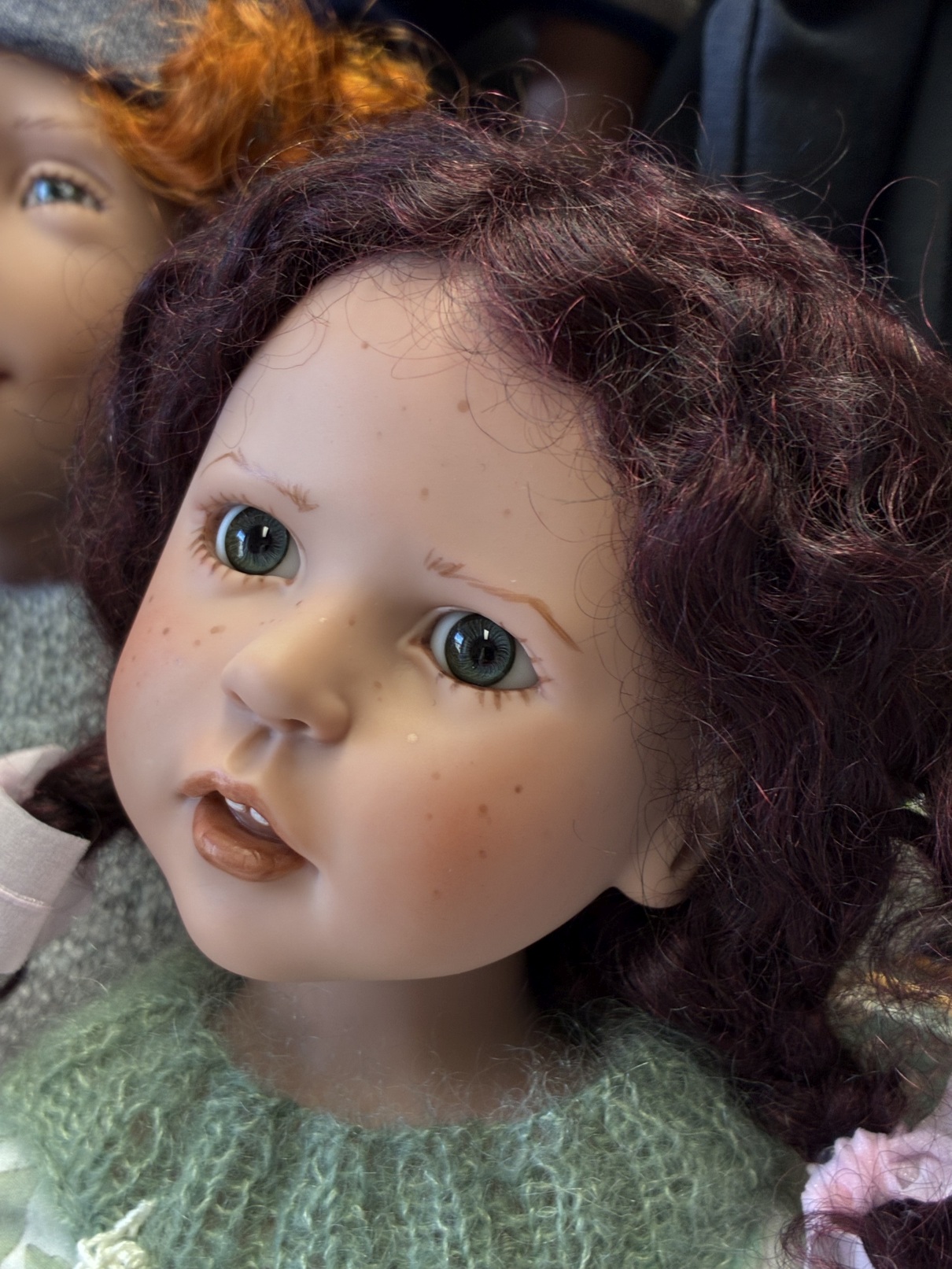 Zwergnase podsnezhniki Цвергназе Подснежники 