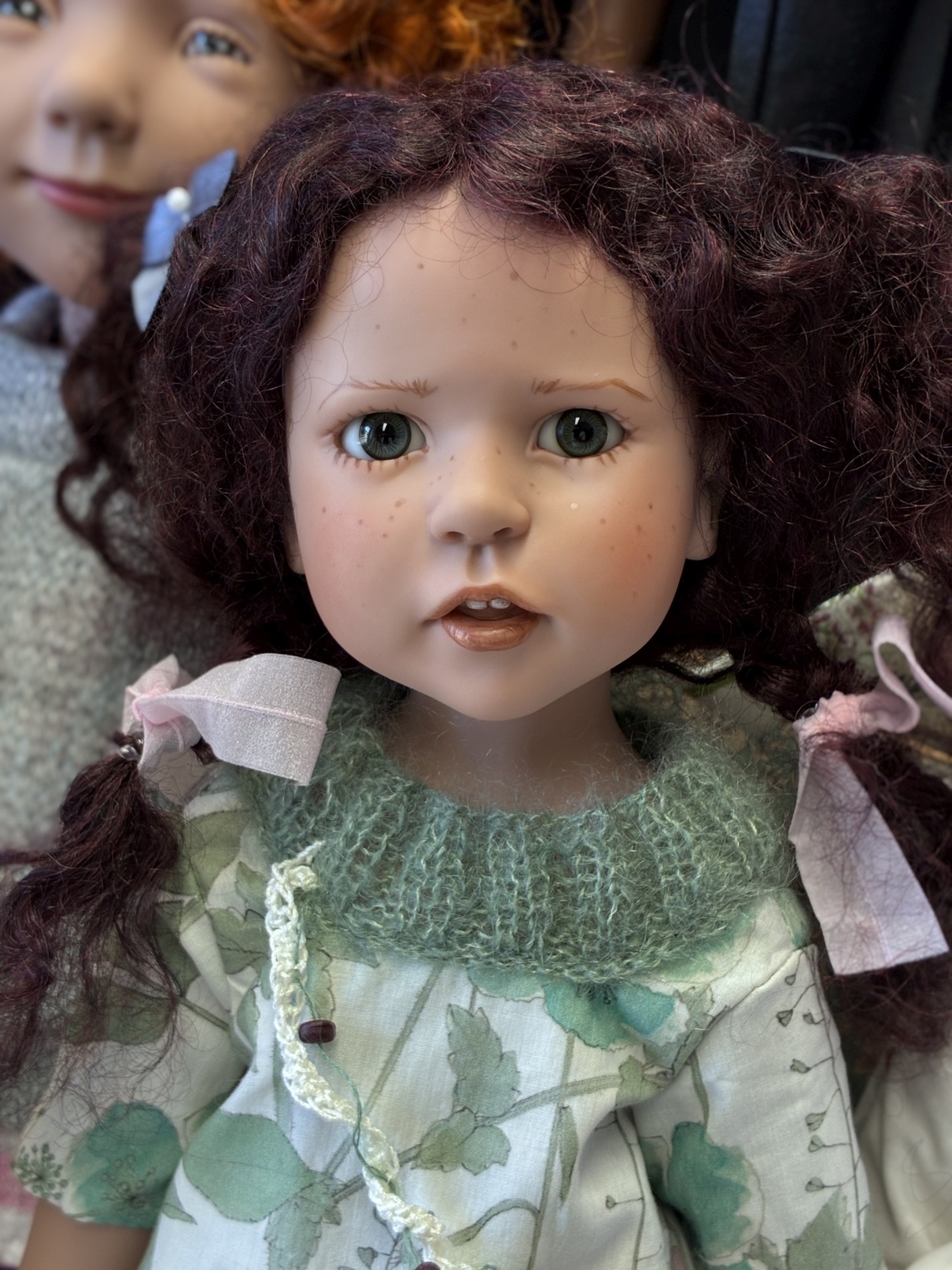 Zwergnase podsnezhniki Цвергназе Подснежники 