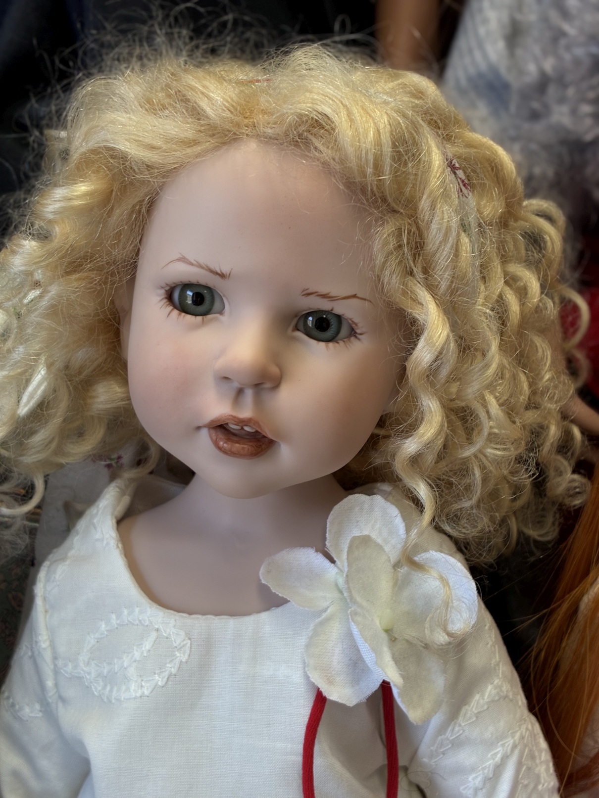 Zwergnase podsnezhniki Цвергназе Подснежники 