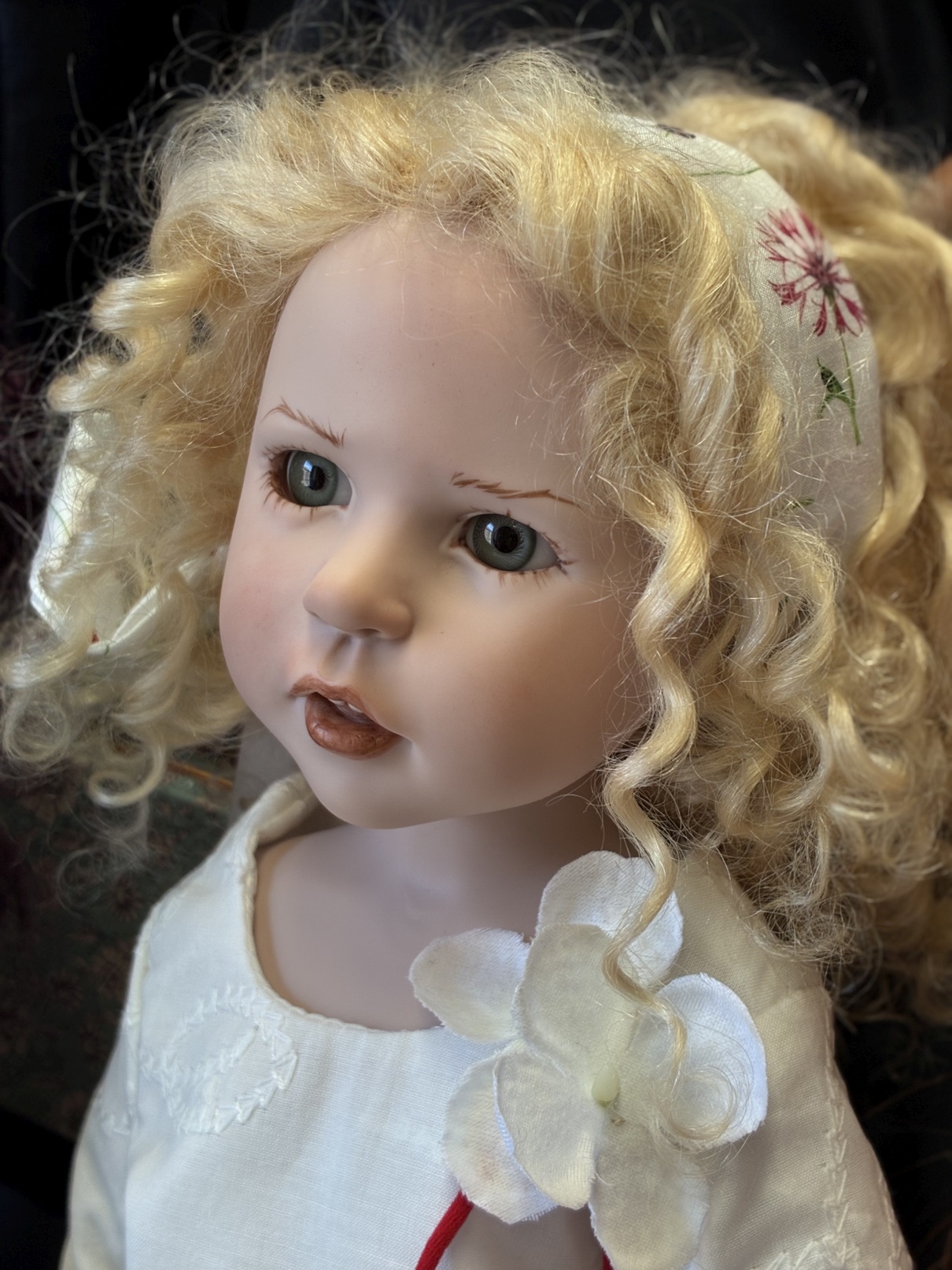 Zwergnase podsnezhniki Цвергназе Подснежники 