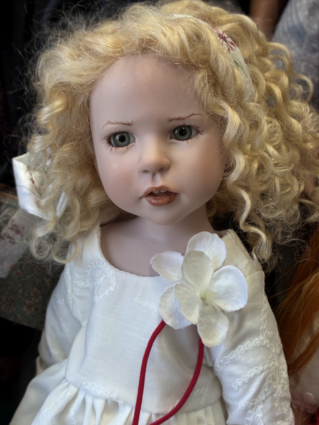 Zwergnase podsnezhniki Цвергназе Подснежники 