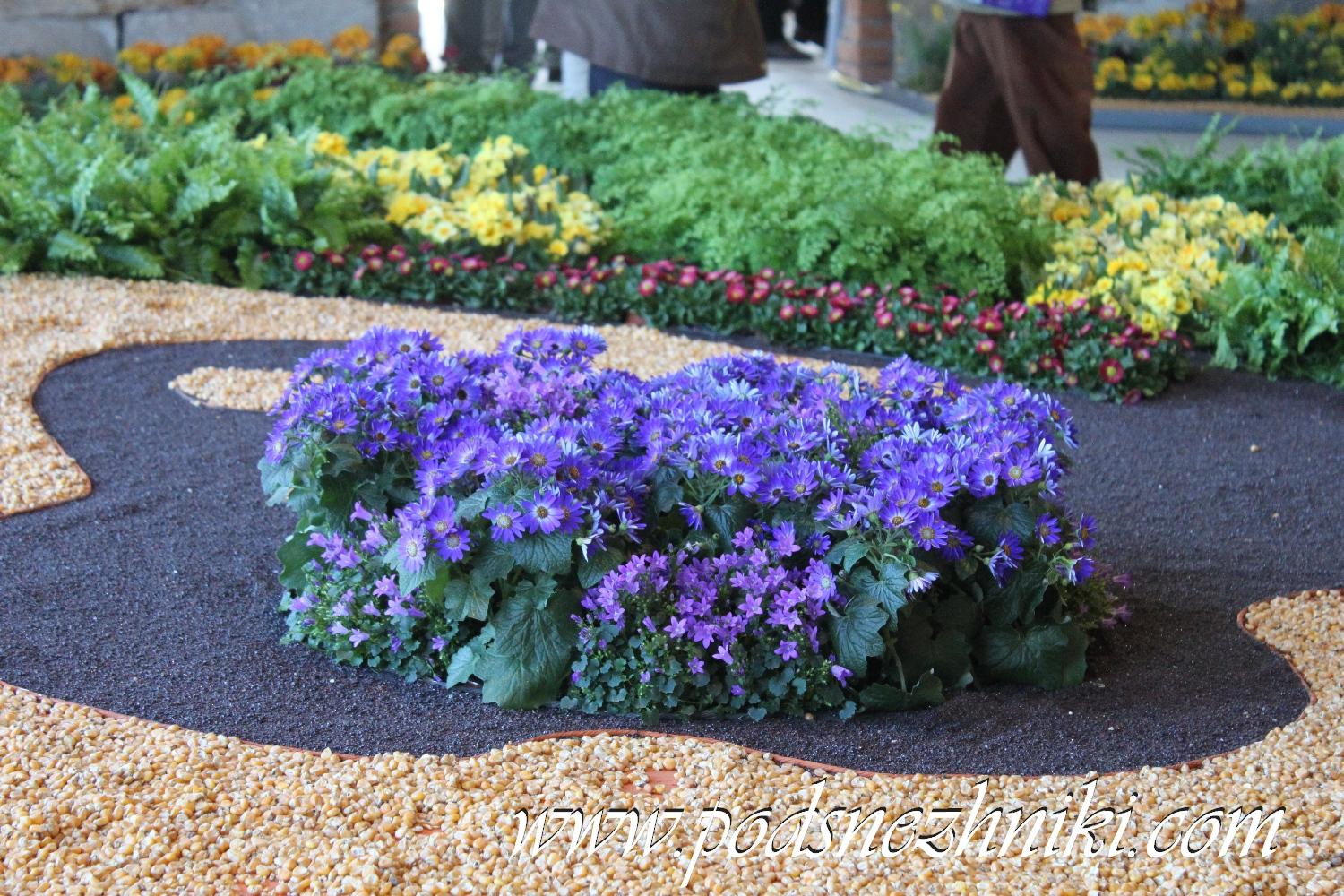 Коллекционные и авторские куклы Коллекционные и авторские куклы