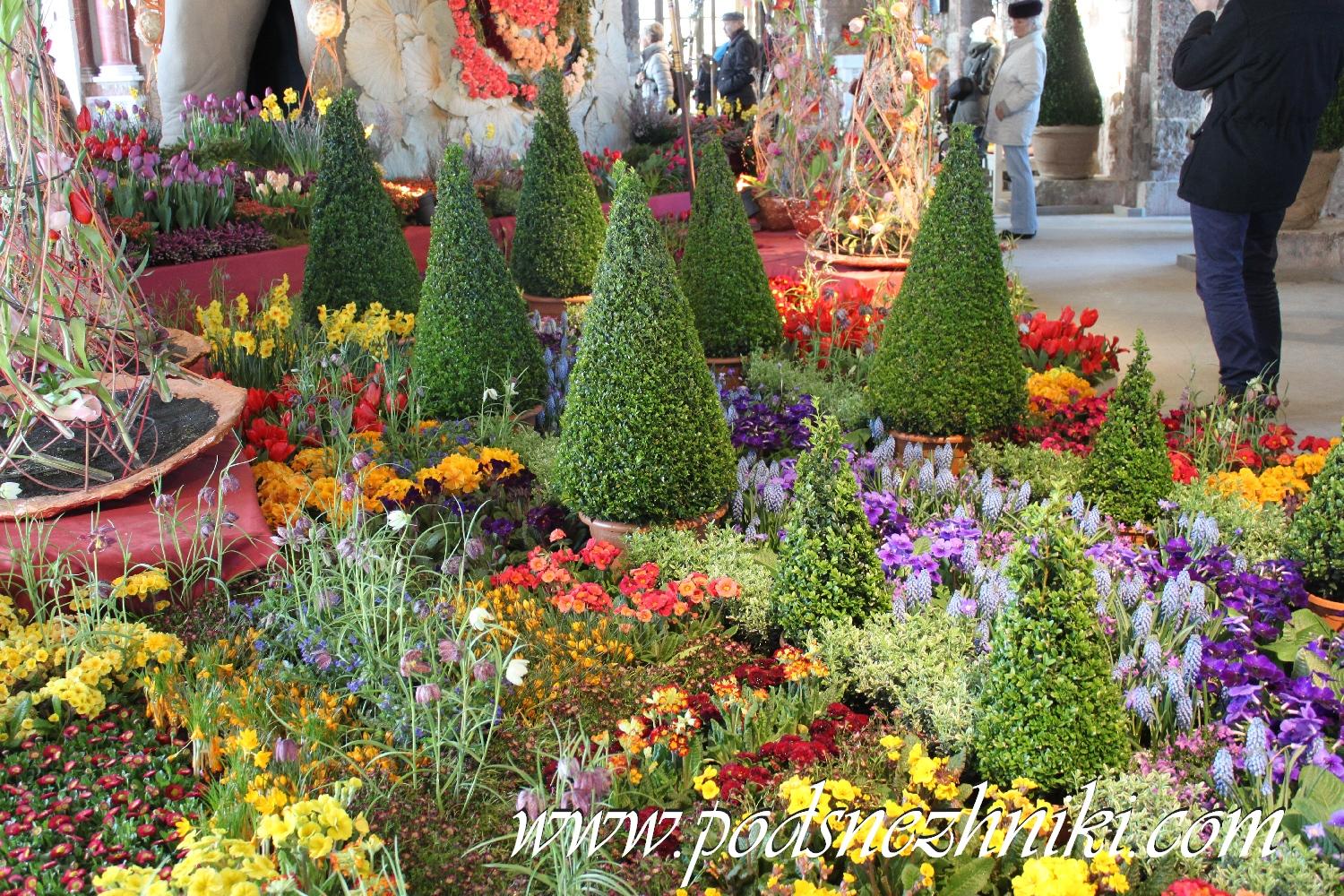 Коллекционные и авторские куклы Коллекционные и авторские куклы