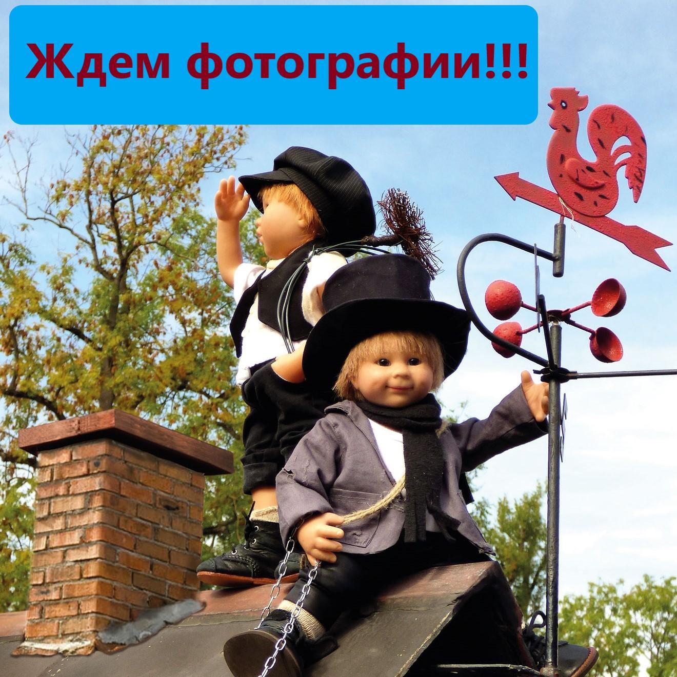 фотоконкурс Подснежники Rosemarie Muller Wichtel calendar фотоконкурс Подснежники Rosemarie Muller Wichtel calendar