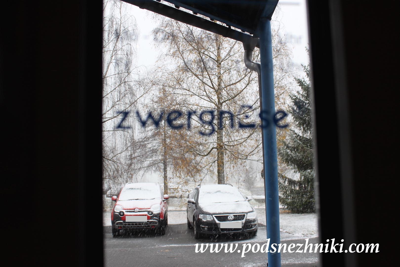 Куклы Zwergnase 2019 Куклы Zwergnase 2019